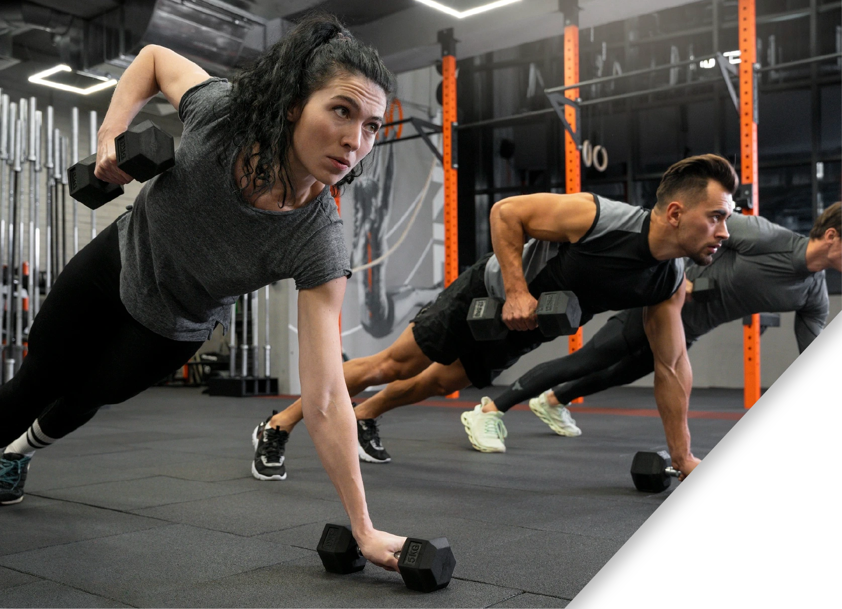 Fitness & Wellness